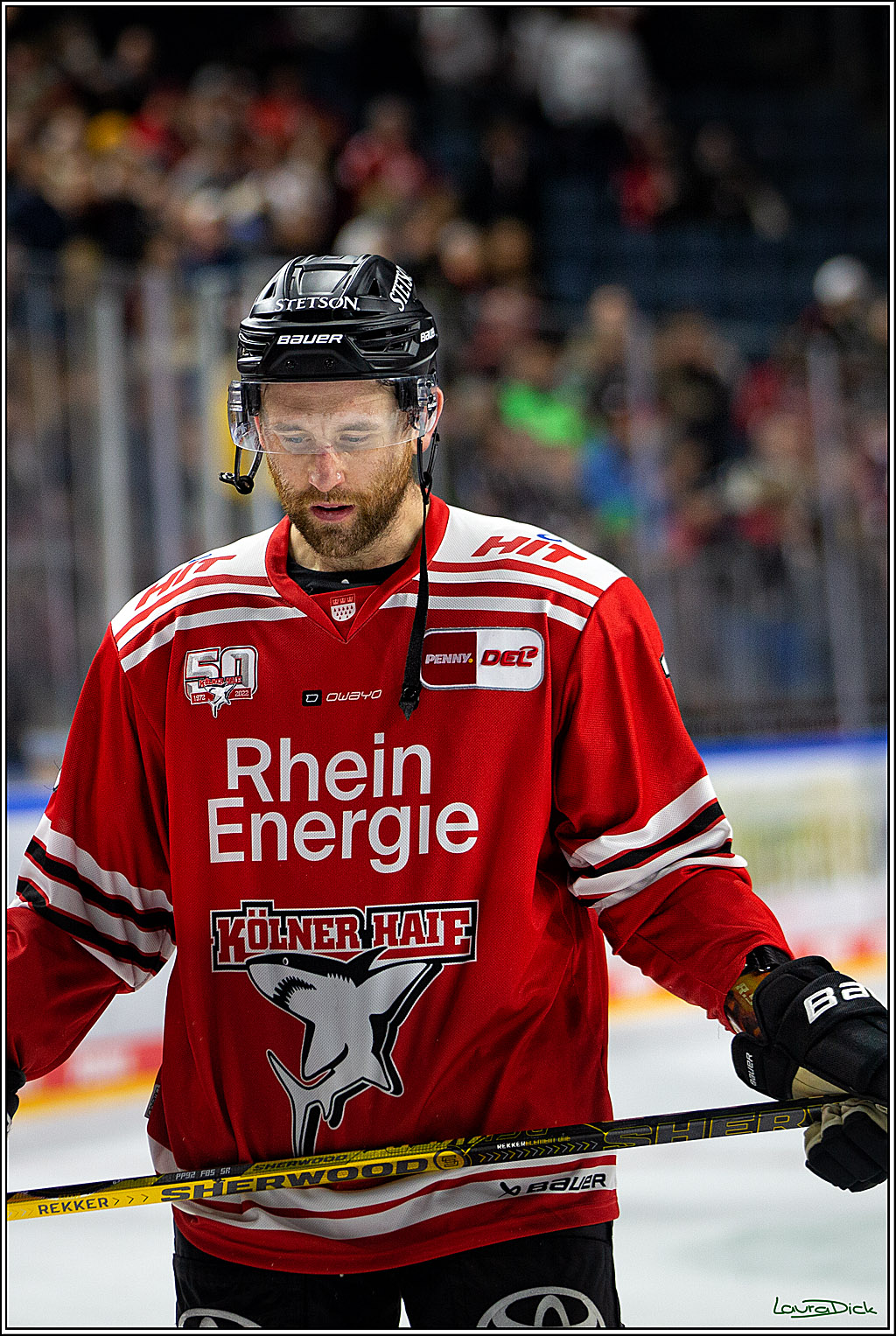 PENNY DEL; Koelner Haie- Loewen Frankfurt; Koeln, 01.12.2022